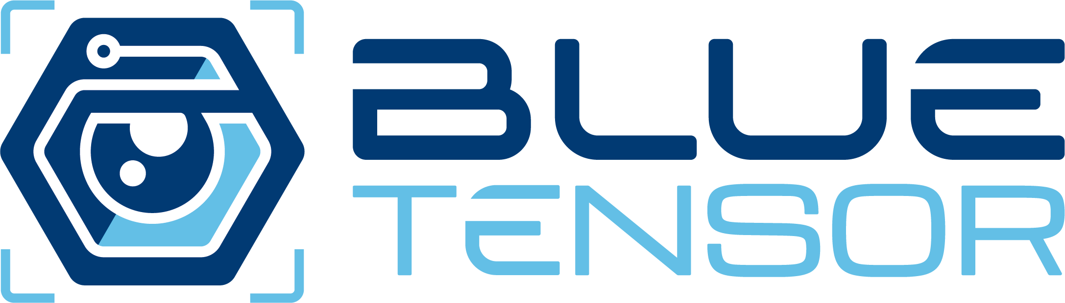 BlueTensor Logo